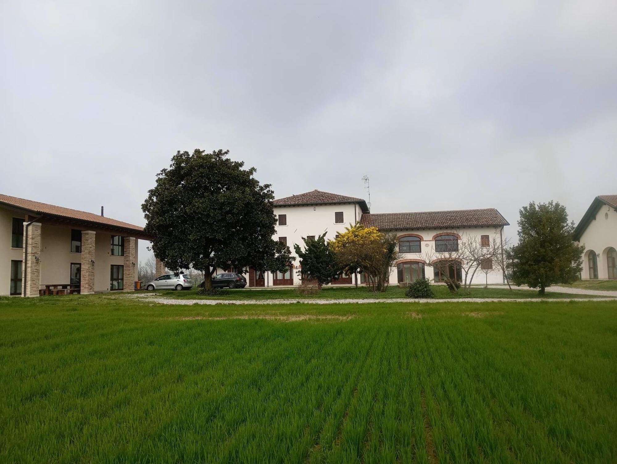 Agriturismo Trabucco Casale sul Sile Exterior foto